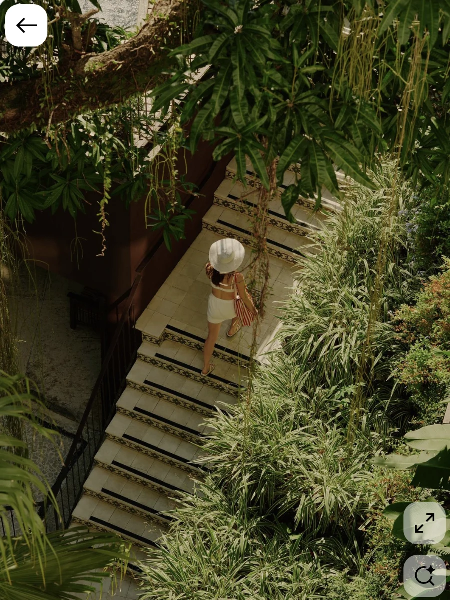 Referencia aportada: arquitectura tropical y vegetación